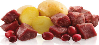 Economy Pack 6 pieces x125gr Belcando Grain Free Finest Selection Lamb with Potatoes and Blackberries