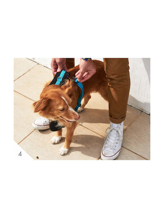 Zee-Dog Σαμαράκι Σκύλου Γιλέκο Air Mesh Large 67-102 cm Σαμαράκι για Σκύλους Ροζ Large