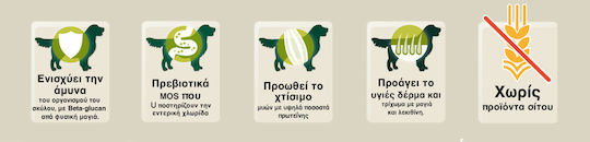 Bewi Selection Υγρή Τροφή Σκύλων σε Κονσέρβα με Βοδινό χωρίς Σιτηρά 400gr
