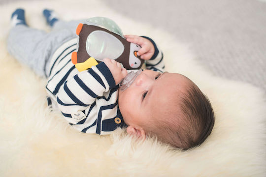Taf Toys Pendant Toy for Car with Teether Prince the Penguin for 0++ Months 12305