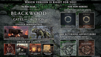 The Elder Scrolls Online Blackwood Collection PC Game