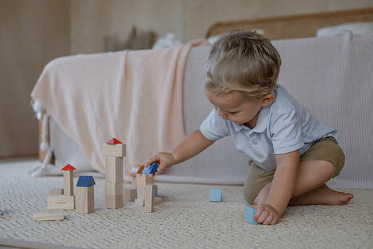 Plan Toys Cuburi De Construit Colorate Din Lemn Pentru 3+ Ani 30 Bucăți