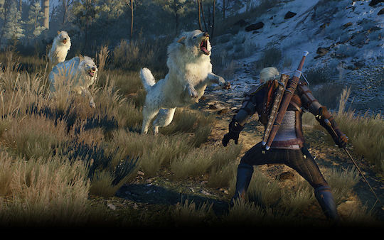 The Witcher 3: Wild Hunt Game of the Year Edition (Key) PC Game
