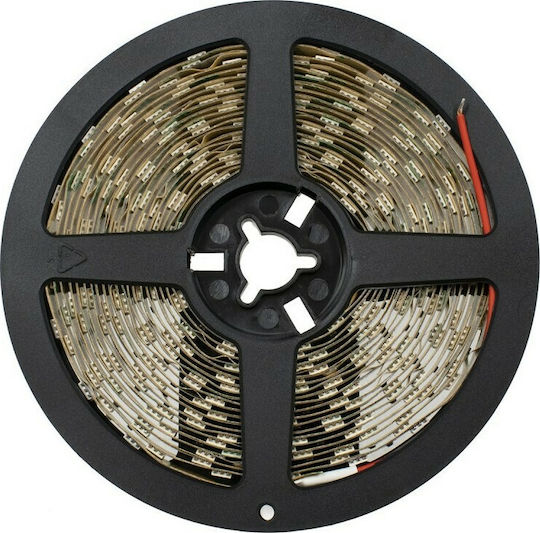 GloboStar LED Strip 24V Green Light 5m Type SMD5050