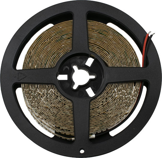 GloboStar LED Strip 24V Blue Light 5m Type SMD2835