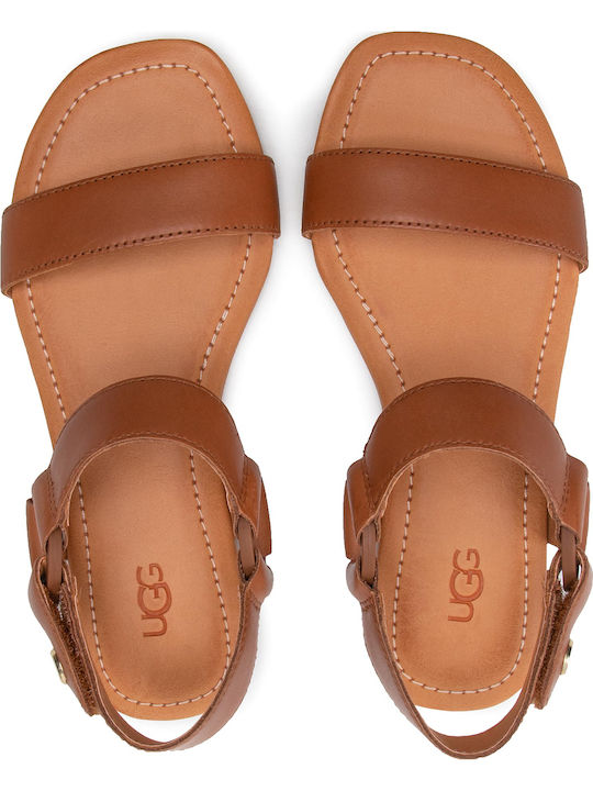 1117284 Leather Women's Flat Sandals with Strap in Tabac Brown Color