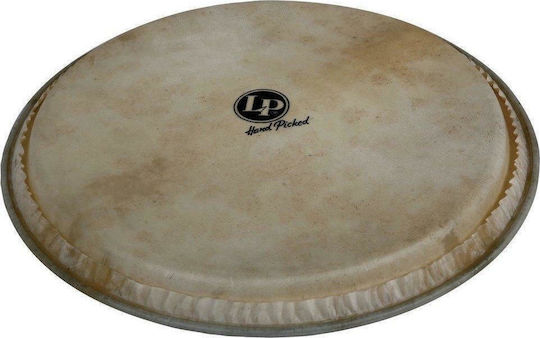 Latin Percussion Djembe Head Δέρμα κάσας για Κρουστά 14"