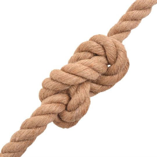 vidaXL vidaXL Rope Diameter 30mm Length 50m Beige