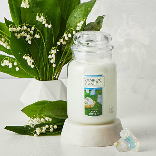 Yankee Candle Duftkerze Gefäß mit Duft Saubere Baumwolle Weiß 623gr 1Stück 5329112