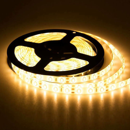 Lucas LED Strip 12V Warm White Light 5m Type SMD5050 with Power Supply