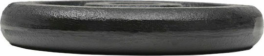 vidaXL Set of Plates Metal 8 x 2.5kg Φ30mm