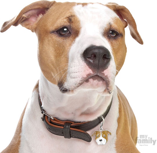 My Family Friends American Staffordshire Terrier Brown Metal Dog ID Tag Personalized