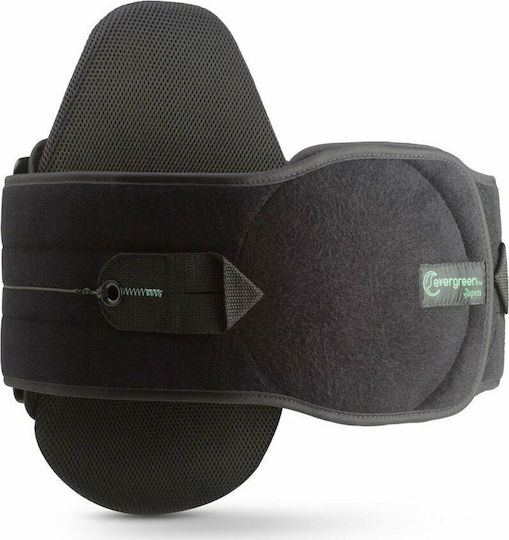 Vita Orthopaedics 04-2-035 Evergreen 631 Lopro Регулируем Сплит за Кръст в Черен Цвят