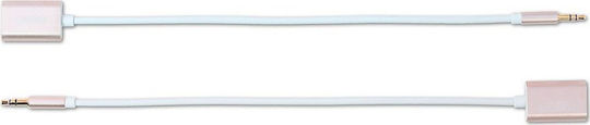 Remax RL-20S Μετατροπέας 3.5mm male σε 3.5mm female Χρυσό