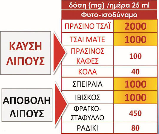 Forte Pharma Xtra Slim Burner Max με Γεύση Pineapple 500ml