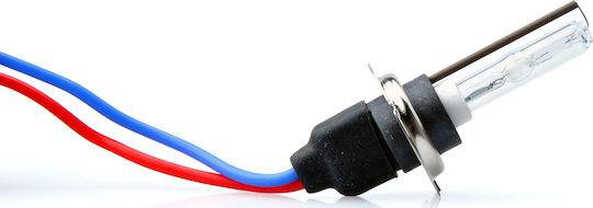 M-Tech Xenon Σετ Φωτισμού Αυτοκινήτου H7 35W 12V 8000K Ψυχρό Λευκό