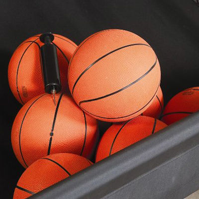 Lifetime Outdoor Basketball Hoop with Stand & Ball Double Shot