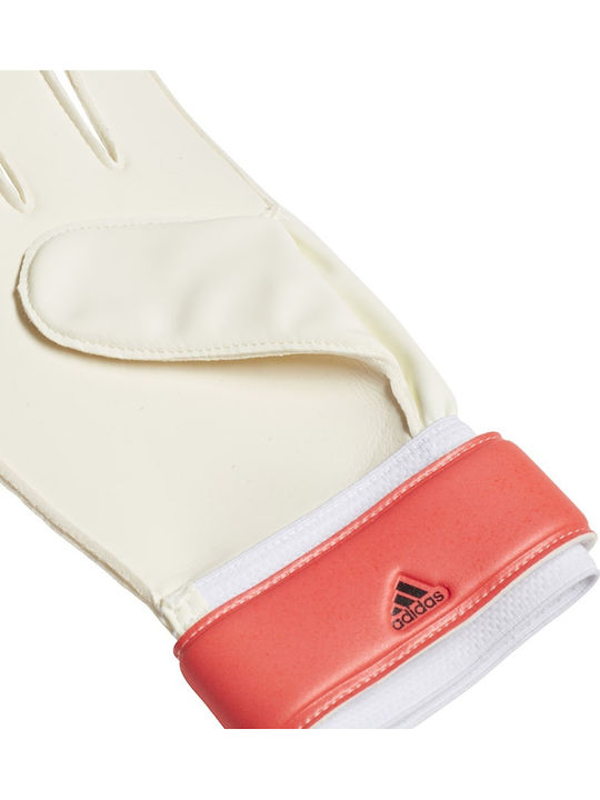 adidas Predator 20 Training Adults & Kids Goalkeeper Gloves Multicolour
