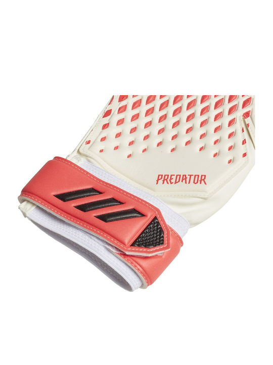 adidas Predator 20 Training Adults & Kids Goalkeeper Gloves Multicolour