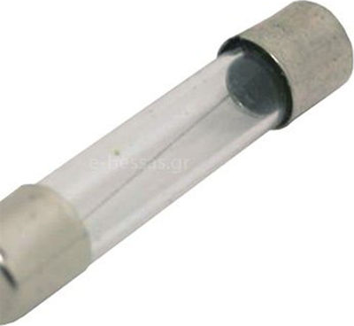 Eval Boat Glass Fuse 20A