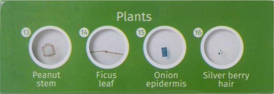 Levenhuk Σετ Έτοιμων Διαφανειών Plants LabZZ STEM Микроскоп за 3+ години Години