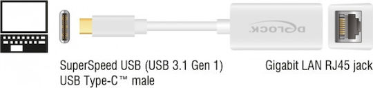 DeLock 65906 Αντάπτορας Δικτύου USB-C με Ενσύρματη Σύνδεση Gigabit Ethernet
