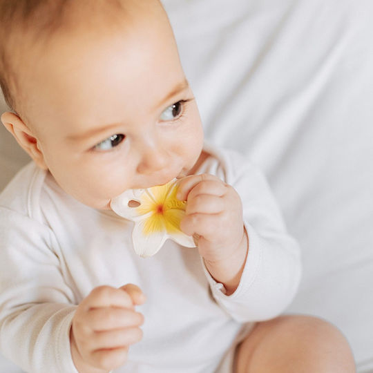 Oli&Carol Anita the Bananita Teething Ring Rubber for 3 m+ OC928968