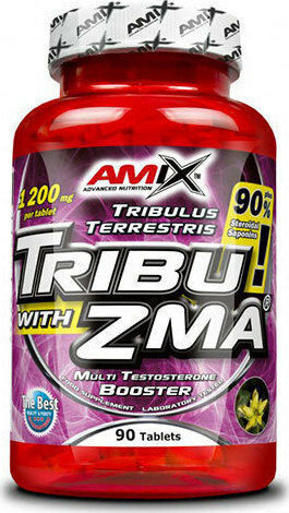 Amix ZMA με Βιταμίνη B6 90 ταμπλέτες