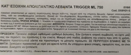 Dual Power Καθαριστικό Επαγωγικών Εστιών Professional Ultra Spray 750ml