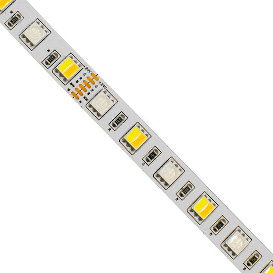 GloboStar Ταινία LED 24V RGBW Φως 5m Τύπου SMD5050