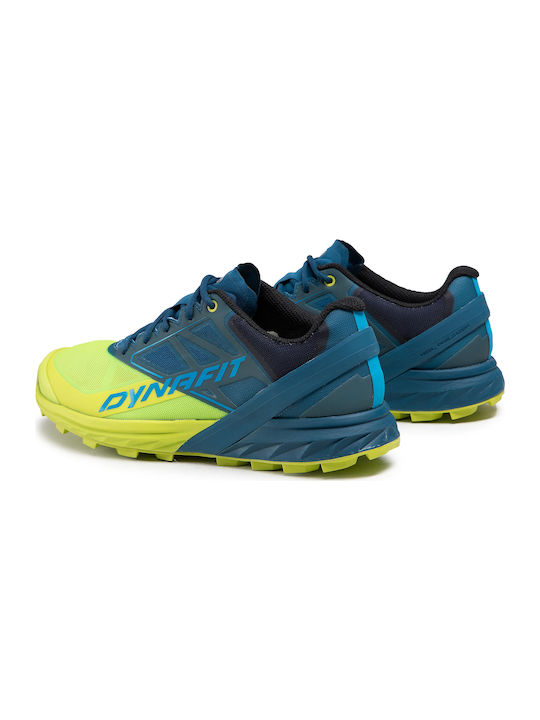 Alpine Sport Shoes Trail Running Multicolour