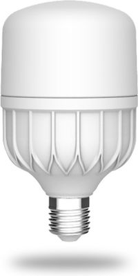 Lucas LED-Glühbirnen für Sockel E27 und Form T140 Warmes Weiß 4500lm 1Stück