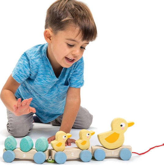 Tender Leaf Toys Jucărie De Tras Rață Cu Rățuște Din Lemn Pentru 18+ Luni