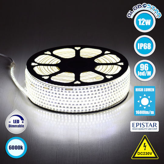 GloboStar Waterproof LED Strip 220V Cold White Light 1m Type SMD2835