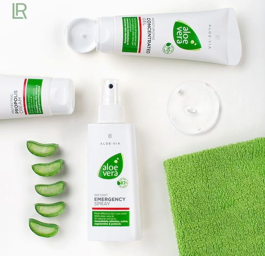 koro aloe vera saft OKF Aloe Vera Getränk Original 500ml – Koreanische Frische – Korea Store