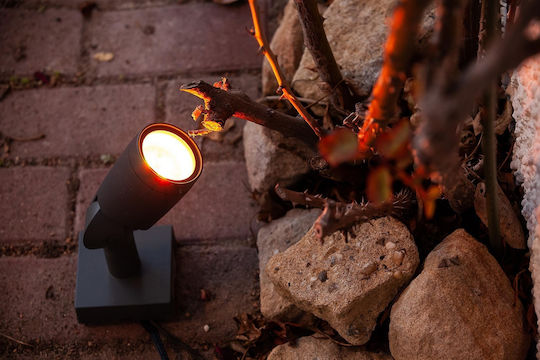 Ledvance Gardenspot Waterproof Spot LED 5W 3000K 14.5x9x29.5cm