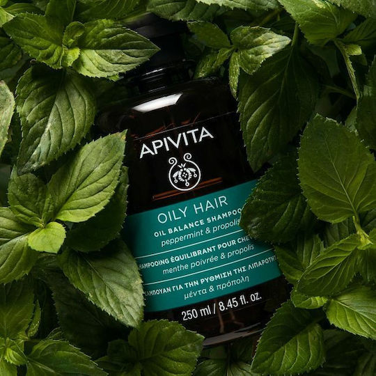 Apivita Oil Balance Peppermint & Propolis Șampon Împotriva Dermatitei Seboreice pentru Păr Gras 250ml