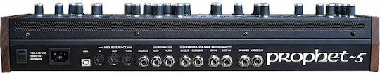 Sequential Prophet 5 Module Αναλογικό Synthesizer