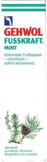 Gehwol Fusskraft Mint Αποσμητικό Ποδιών 75ml