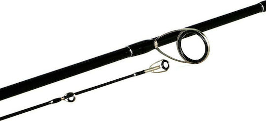 Shimano Bassterra Sea Bass Fishing Rod for Shore Jigging 2.89m 15-60gr