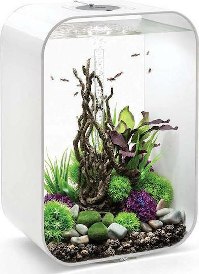 Oase BiOrb Life 60 MCR Ενυδρείο Ψαριών Χωρητικότητας 60lt με Φωτισμό, Φίλτρο, 42x28x62εκ. Λευκό