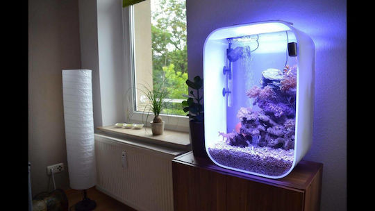 Oase BiOrb Life 60 MCR Ενυδρείο Ψαριών Χωρητικότητας 60lt με Φωτισμό, Φίλτρο, 42x28x62εκ. Λευκό