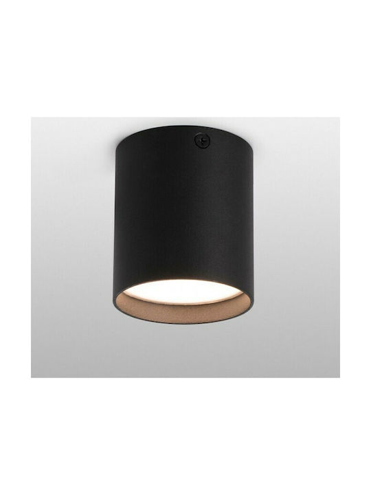 Faro Barcelona Haru Single Spot with Socket GU10 in Black Color