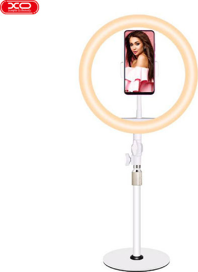 XO XO L03 LED Ринг Лампа 26см 3200 - 5600K с Пръстенова Светлина и Държач за Телефон Бяла
