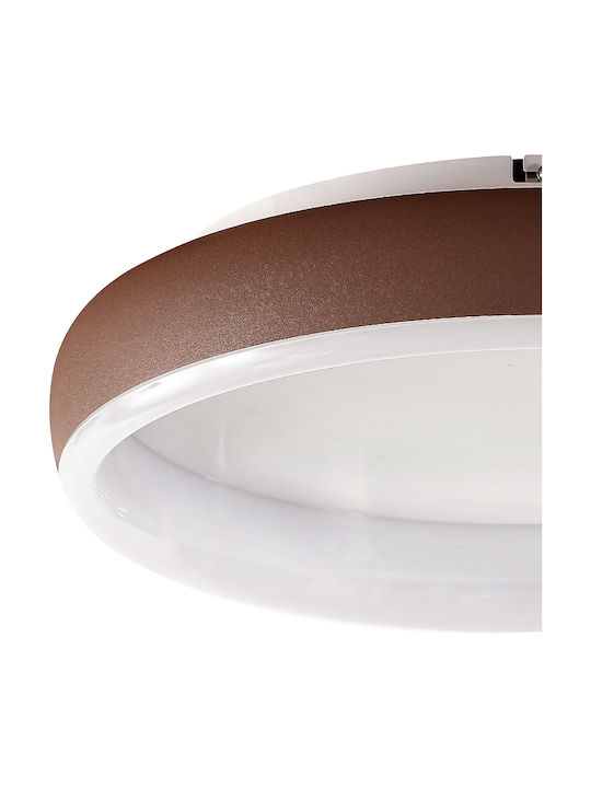 Ravenna Hoop 40 Modern Metal Ceiling Light with Integrated LED 40pcs Brown