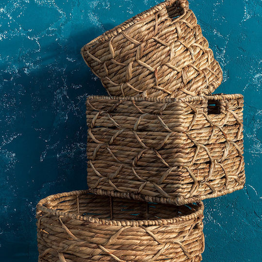 Nima Zoya Wicker