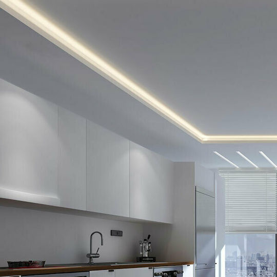 V-TAC LED Strip 24V Cold White Light 5m Type COB