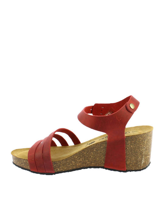 Anatomic Women's Leather Ankle Strap Platforms Red