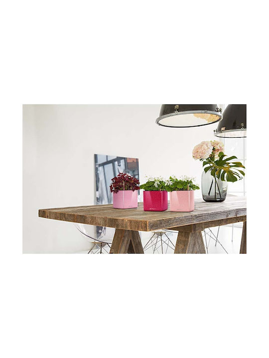 Lechuza Cube Glossy Самополивен Саксия Пластмаса 14x14x14см.