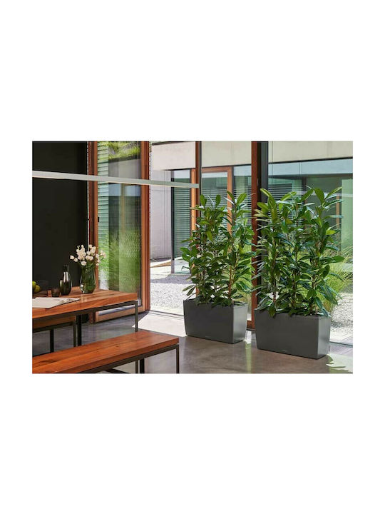 Lechuza Cararo Charcoal Metallic Self-watering Planter Box Plastic Gray 75x30x42.5cm.